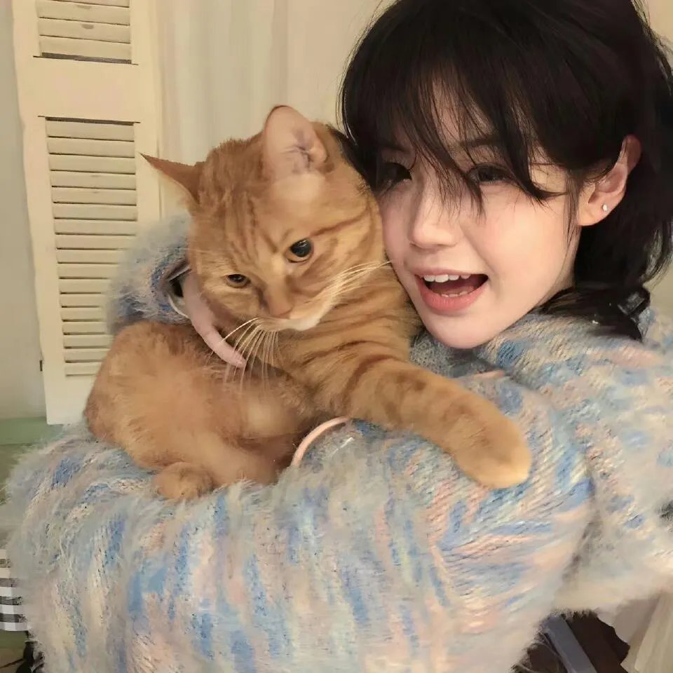 魔法少女奈叶 Reflection